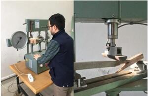 Figure from article: Natural durability of some...