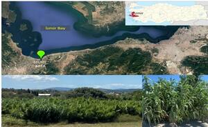 Figure from article: Investigation of Chemical...
