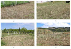Figure from article: Natural Durability of...