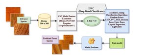 Figure from article: DWC (Deep Wood...