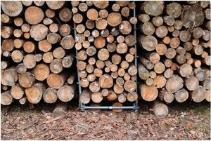 Figure from article: Development of latent...